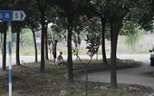 金海驾校报名处